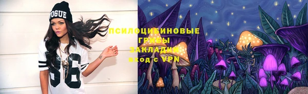 СК Надым