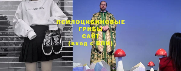 прущий лед Арсеньев