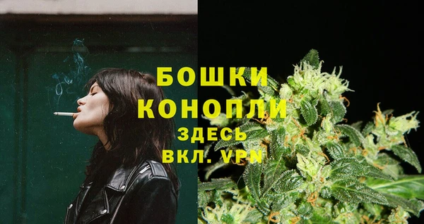 гашик Аркадак