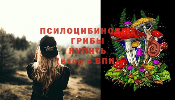 гашик Аркадак