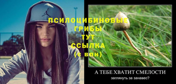гашик Аркадак