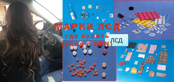 гашик Аркадак