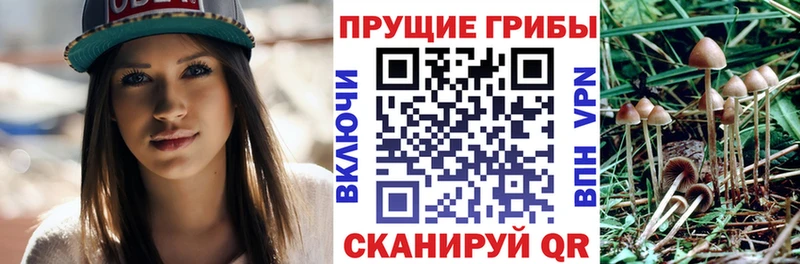 Псилоцибиновые грибы Psilocybine cubensis  продажа наркотиков  Советская Гавань 