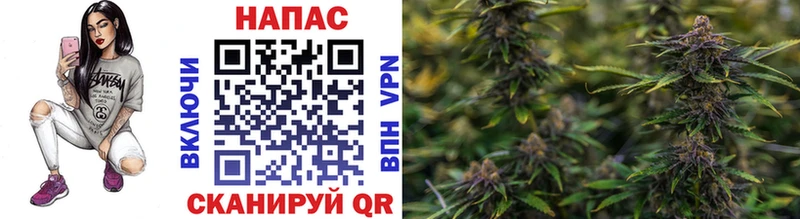 Шишки марихуана THC 21% даркнет сайт Советская Гавань